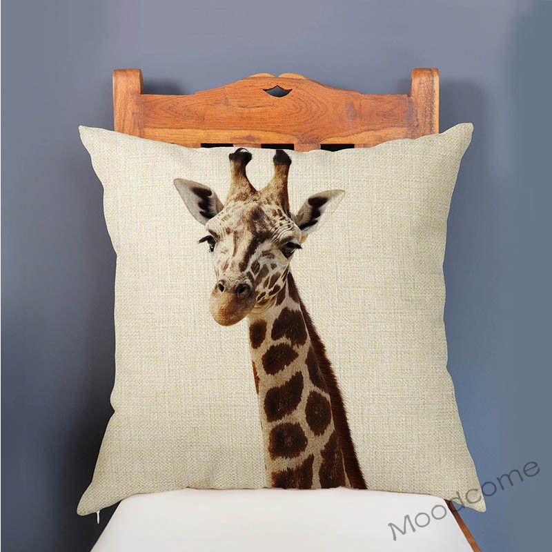Mignon bébé réglage pépinière  - Baby Zebra Nursery avis et prix
